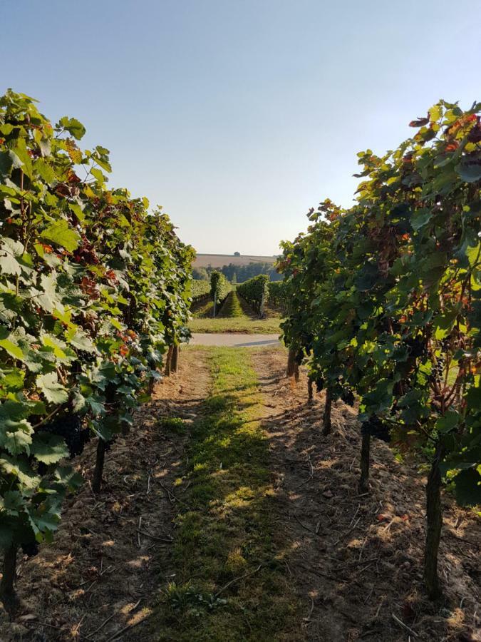 Weingut & Gaestehaus Nagel Kapellen-Drusweiler 外观 照片