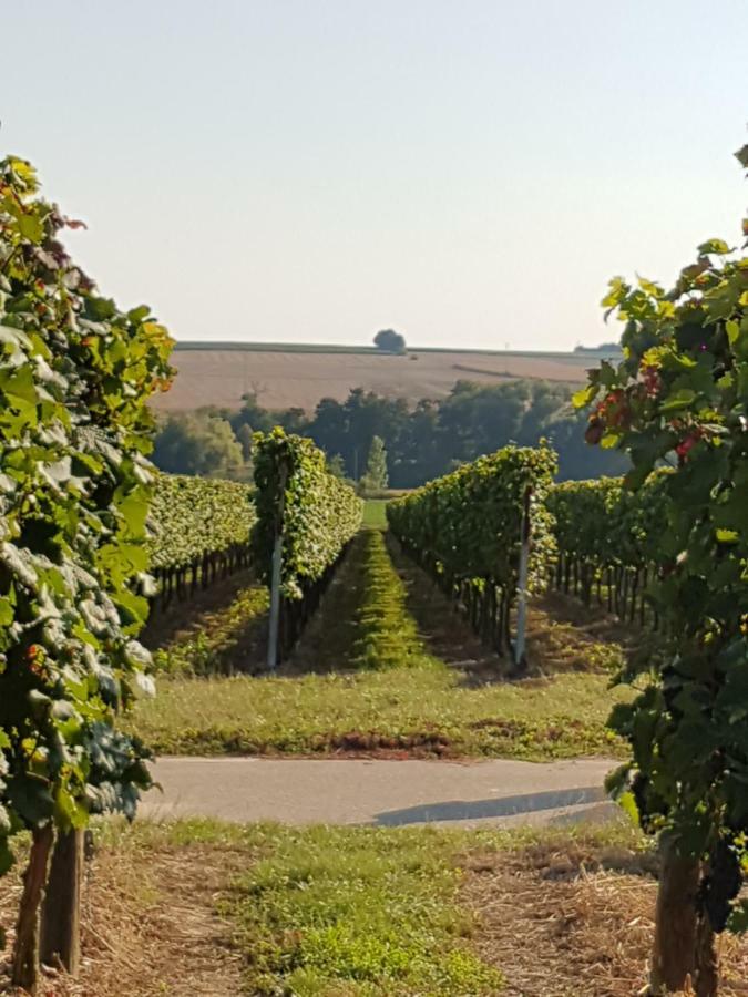Weingut & Gaestehaus Nagel Kapellen-Drusweiler 外观 照片